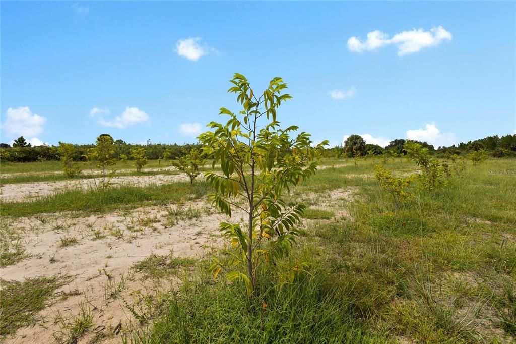 На продажу: $559,999 (10.00 acres)