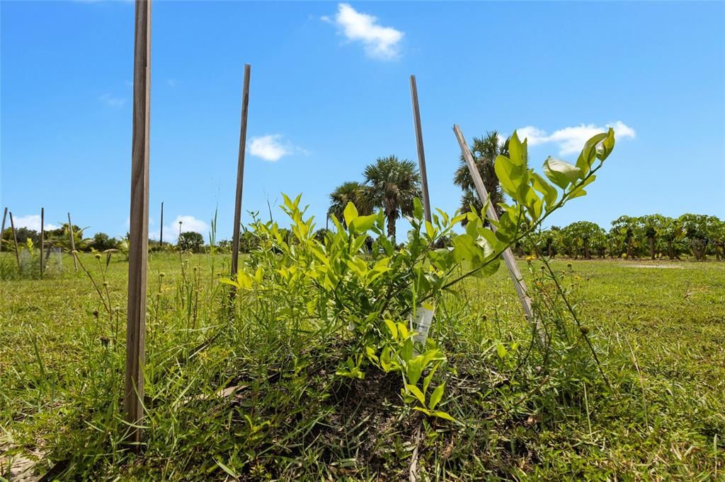 На продажу: $559,999 (10.00 acres)