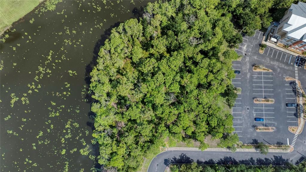 На продажу: $975,000 (1.36 acres)