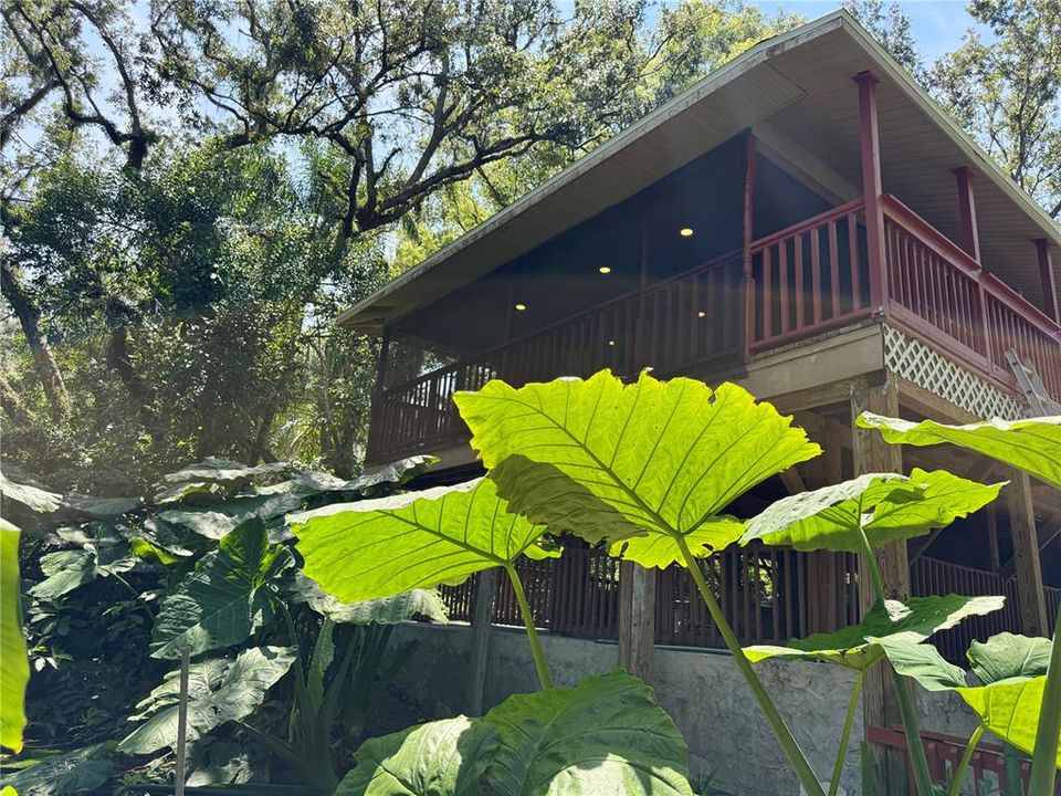 Под контрактом: $2,200 (2 спален, 2 ванн, 864 Квадратных фут)