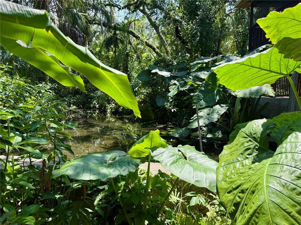 Под контрактом: $2,200 (2 спален, 2 ванн, 864 Квадратных фут)