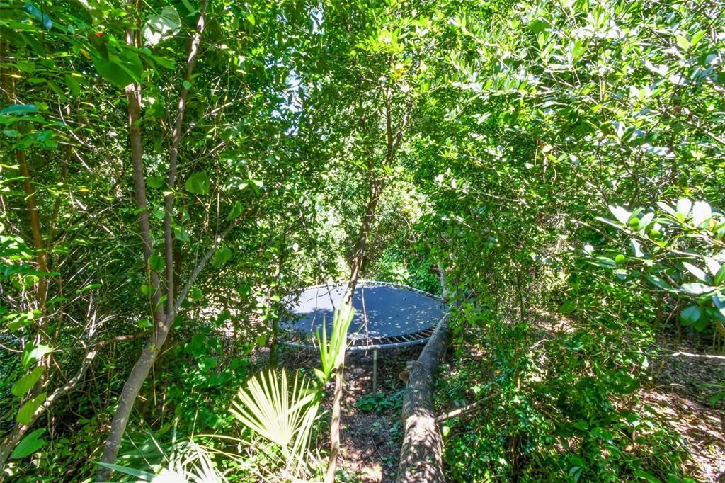 Active With Contract: $479,900 (4 beds, 3 baths, 2572 Square Feet)