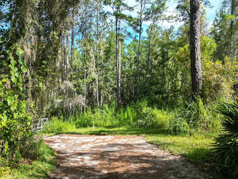 En Venta: $250,000 (7.00 acres)