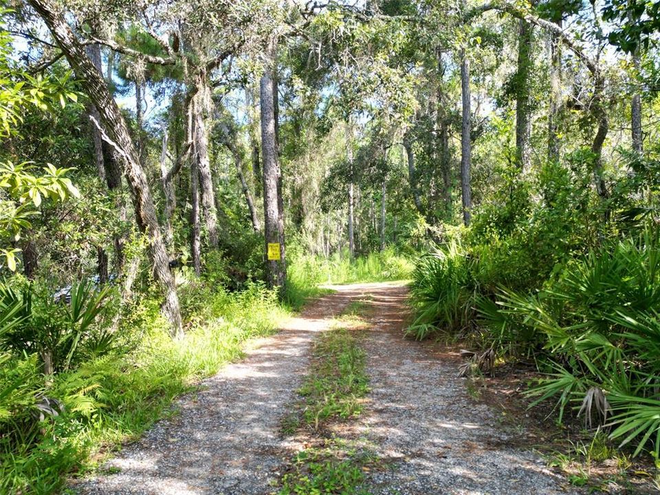 En Venta: $250,000 (7.00 acres)