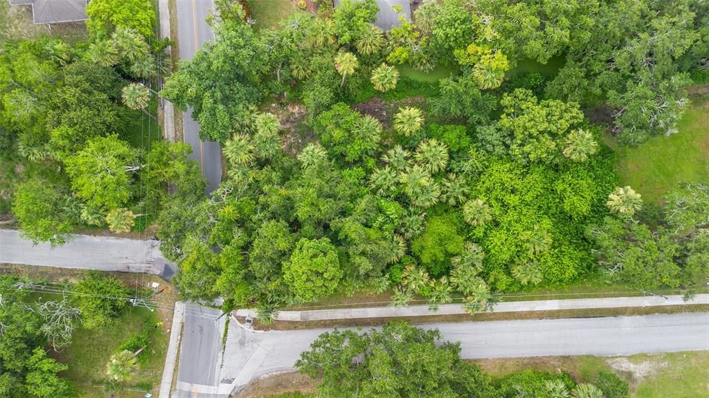 待售: $39,000 (0.32 acres)