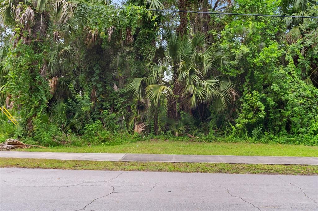 待售: $39,000 (0.32 acres)