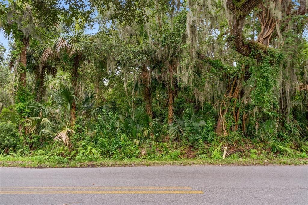 待售: $39,000 (0.32 acres)