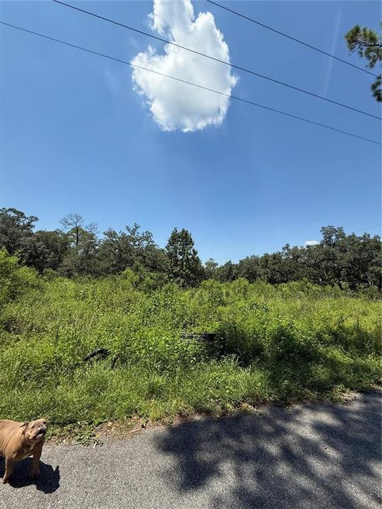 На продажу: $355,000 (5.54 acres)