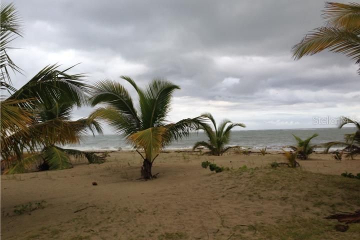 For Rent: $1,750 (3 beds, 2 baths, 1300 Square Feet)