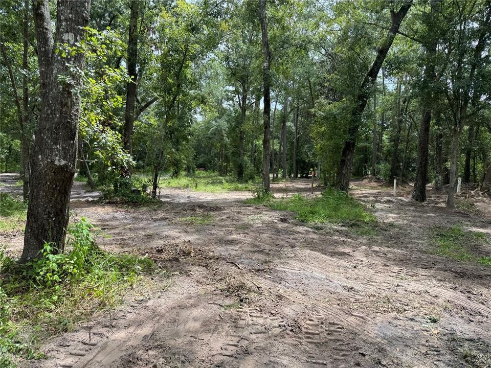 For Sale: $45,000 (0.36 acres)