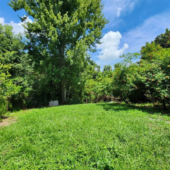 Active With Contract: $279,000 (3 beds, 1 baths, 1234 Square Feet)