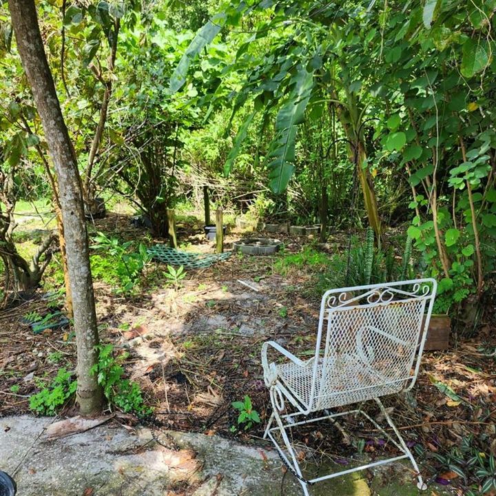 Active With Contract: $279,000 (3 beds, 1 baths, 1234 Square Feet)