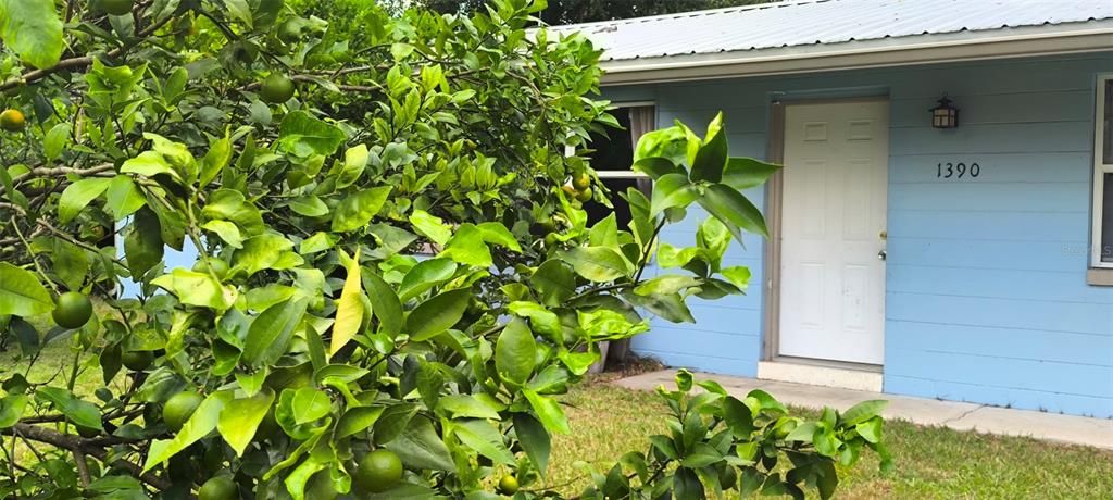 Active With Contract: $214,999 (3 beds, 1 baths, 1400 Square Feet)