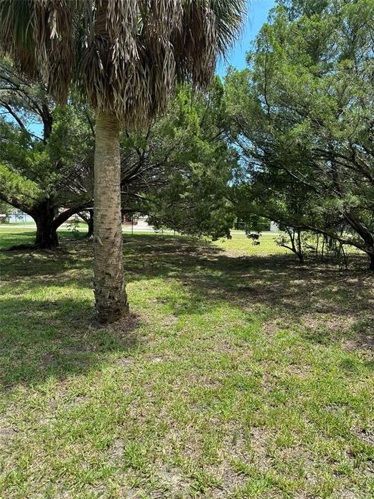 待售: $80,000 (0.21 acres)