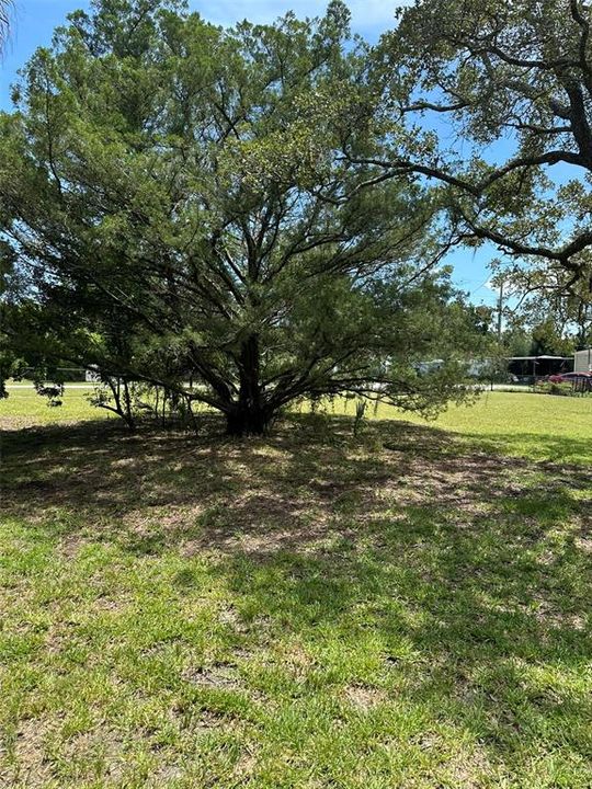 待售: $80,000 (0.21 acres)