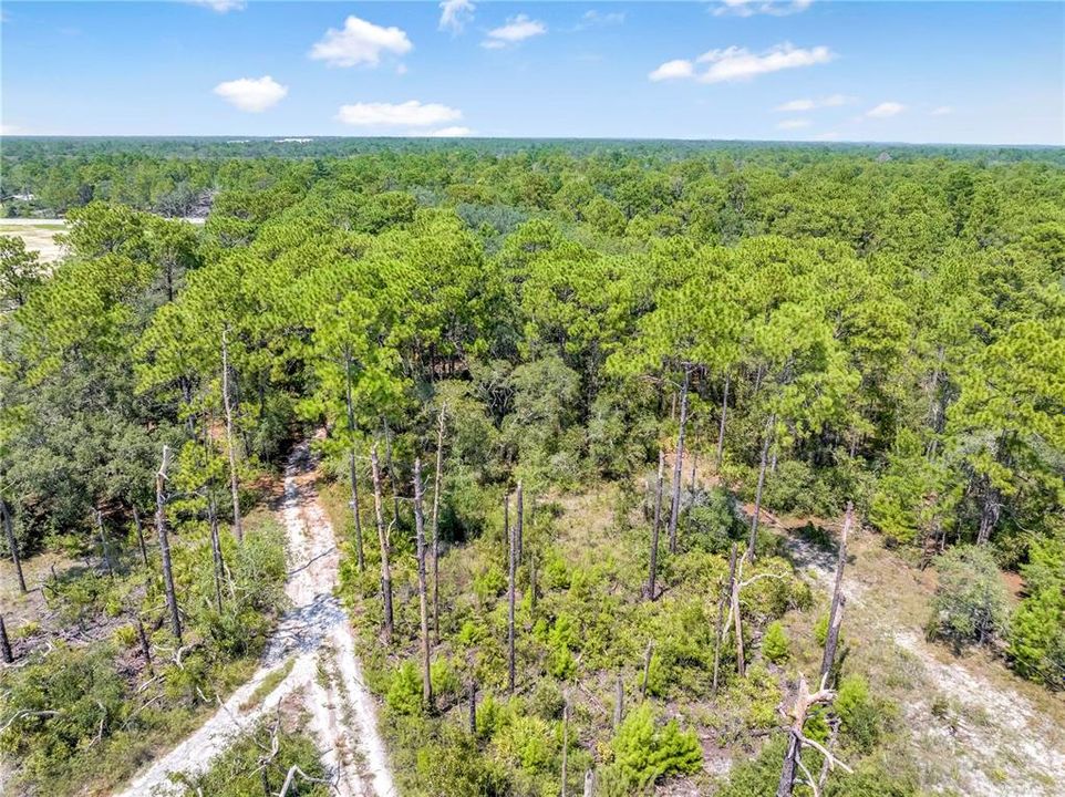 待售: $129,999 (2.50 acres)