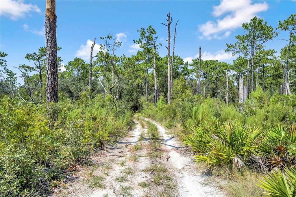 待售: $129,999 (2.50 acres)