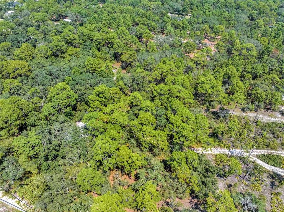 待售: $129,999 (2.50 acres)