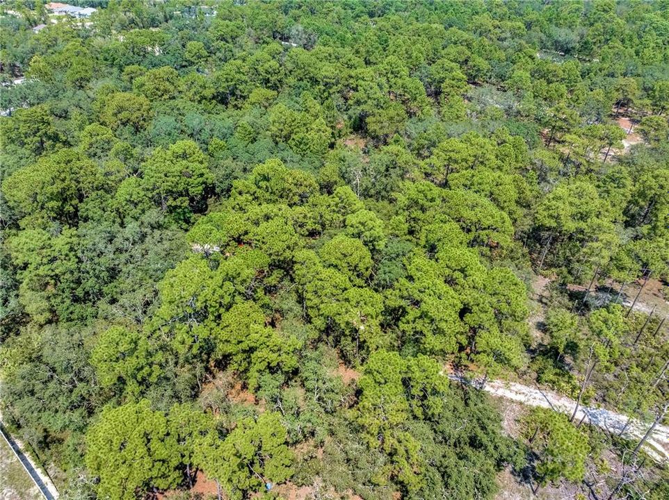 待售: $129,999 (2.50 acres)