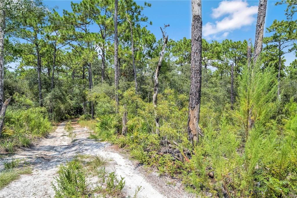 待售: $129,999 (2.50 acres)