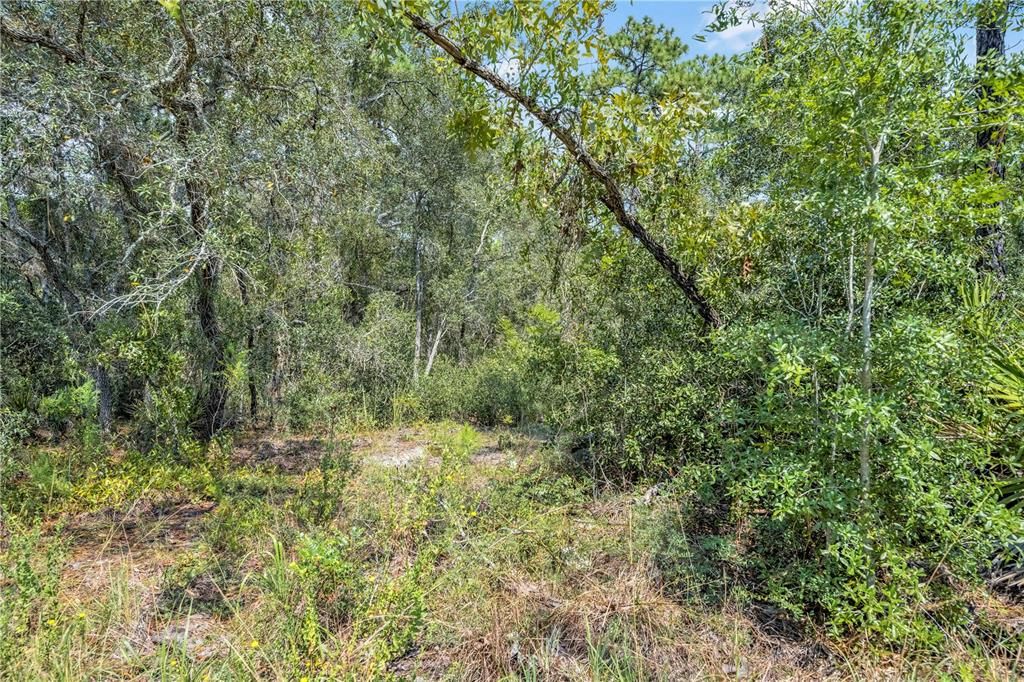 待售: $129,999 (2.50 acres)