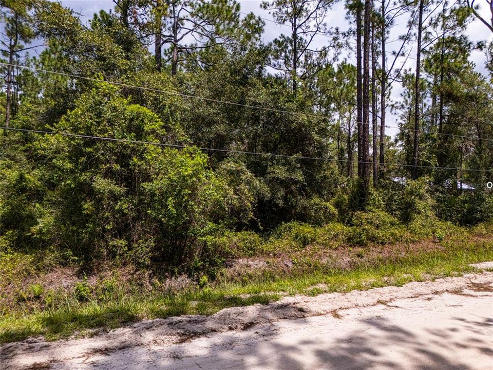 En Venta: $49,000 (0.98 acres)