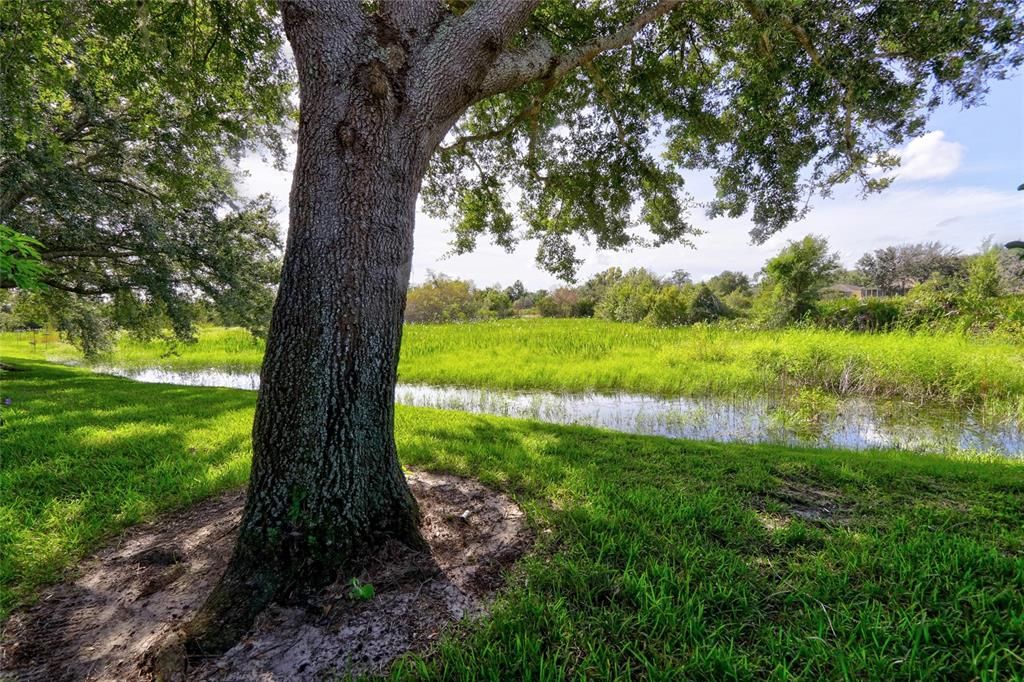 For Sale: $265,000 (2 beds, 2 baths, 1280 Square Feet)