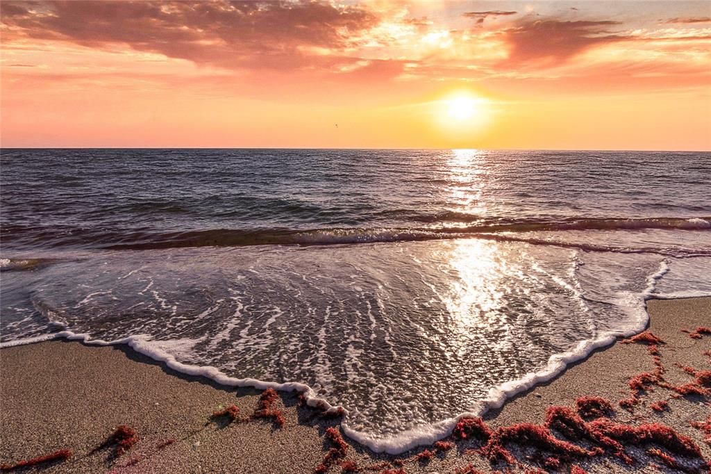 En Venta: $1,599,000 (0.34 acres)