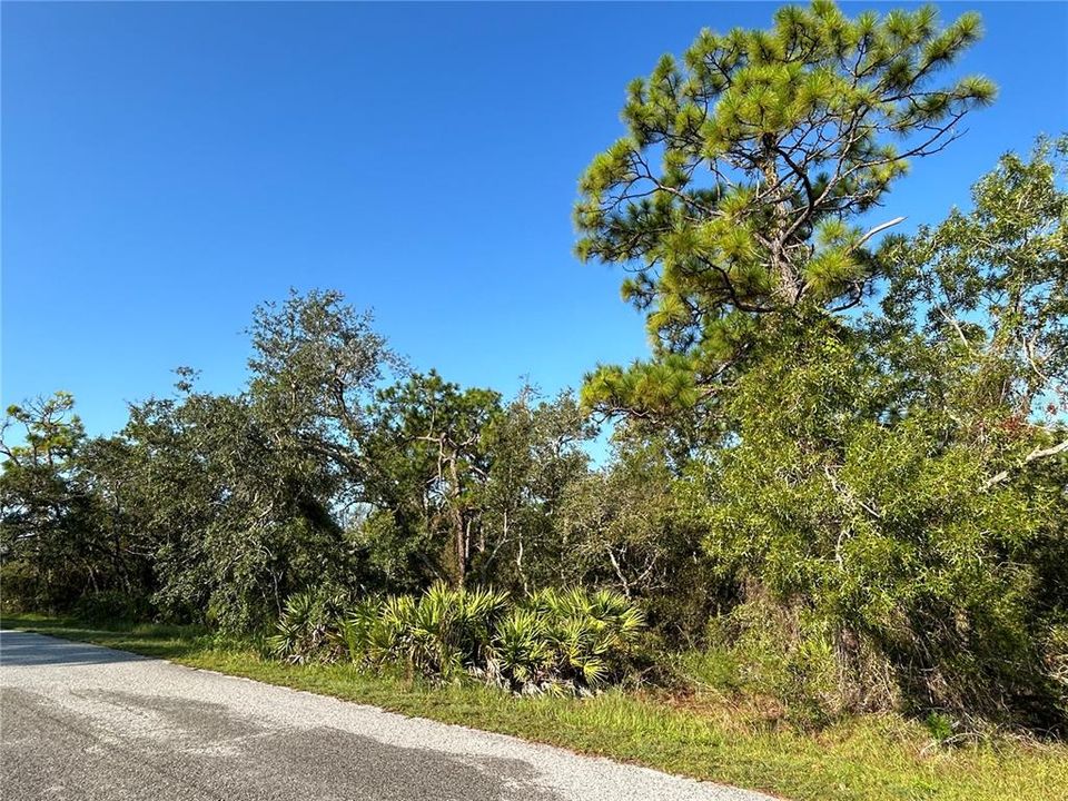 En Venta: $120,000 (1.00 acres)