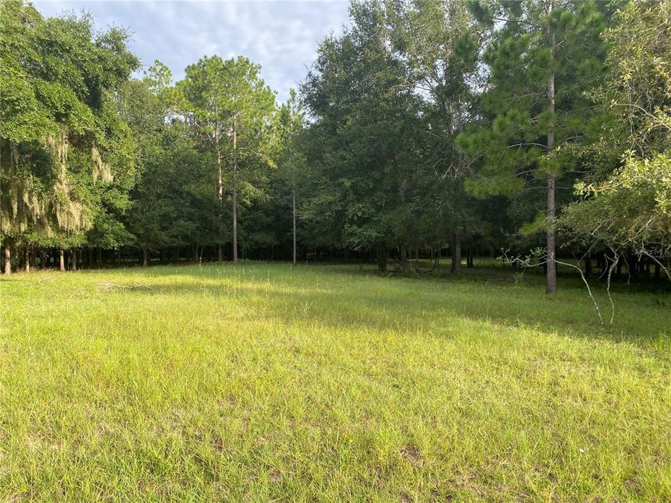 最近售出: $675,000 (18.50 acres)