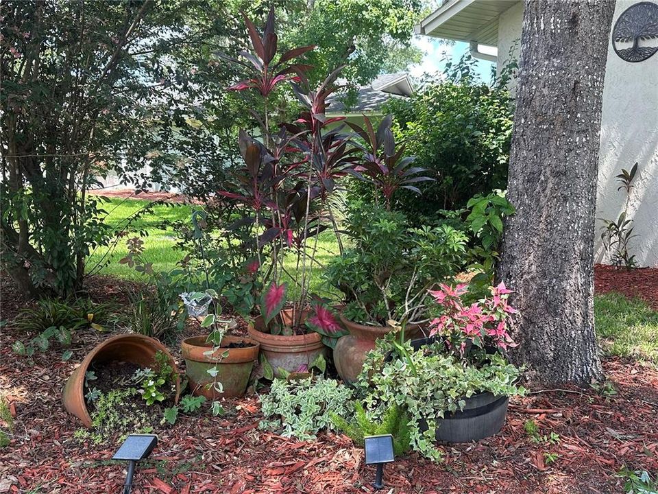 Recientemente alquilado: $3,195 (4 camas, 2 baños, 2125 Pies cuadrados)