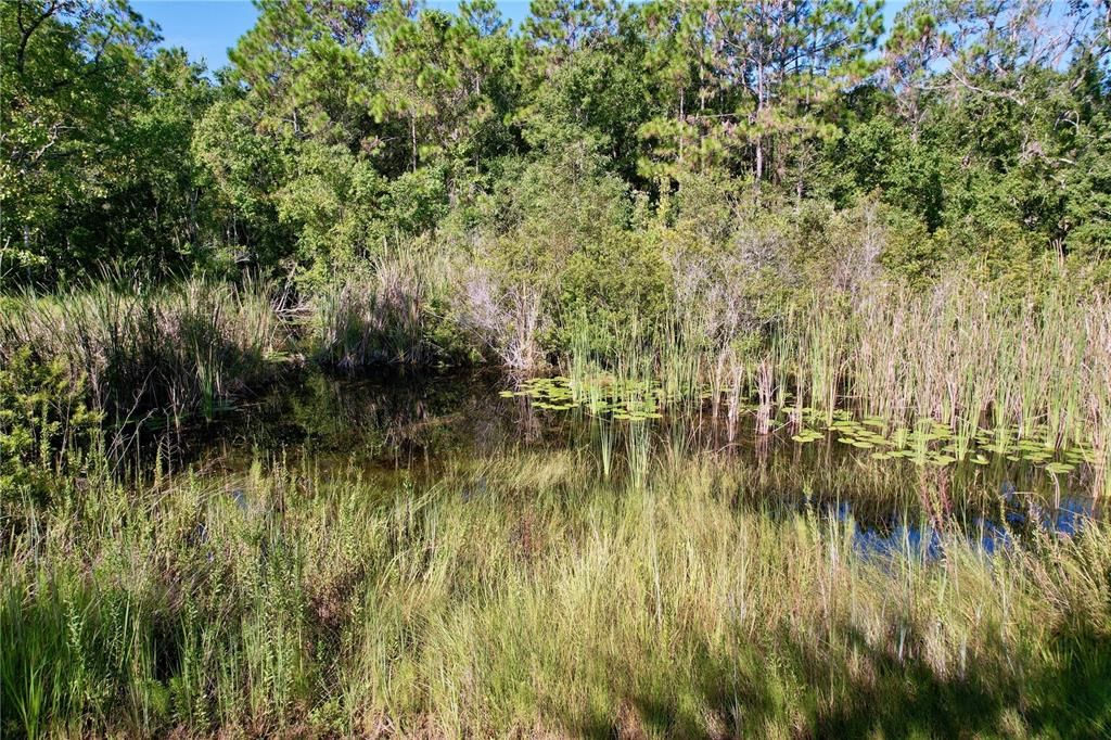 For Sale: $99,900 (1.58 acres)