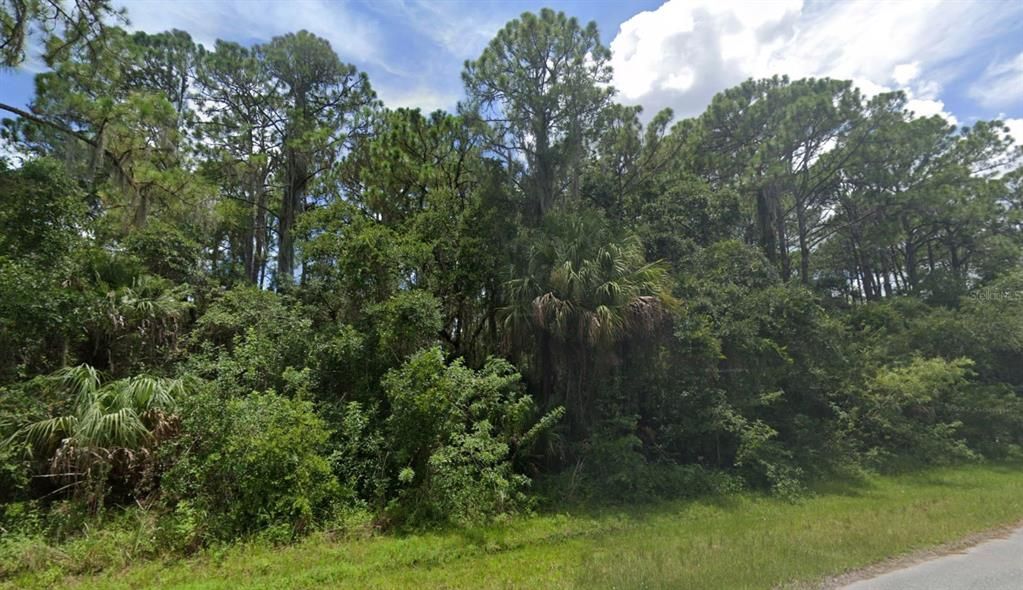 Под контрактом: $17,500 (0.23 acres)