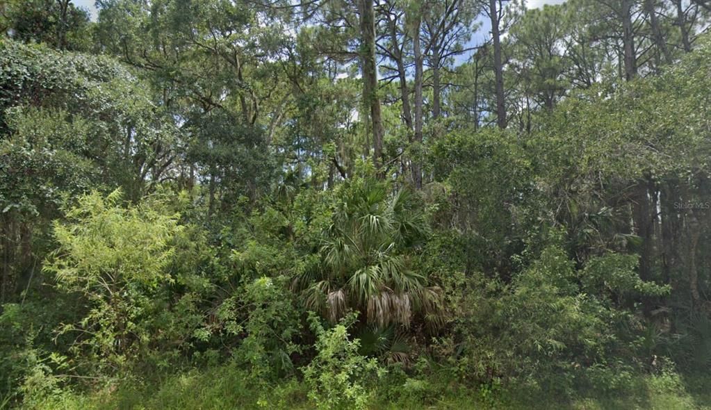 Под контрактом: $17,500 (0.23 acres)