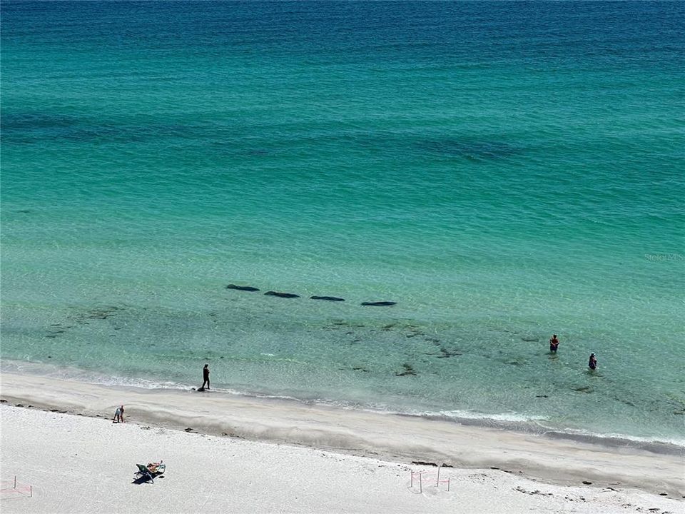 出租: $12,000 (2 贝兹, 2 浴室, 1513 平方英尺)