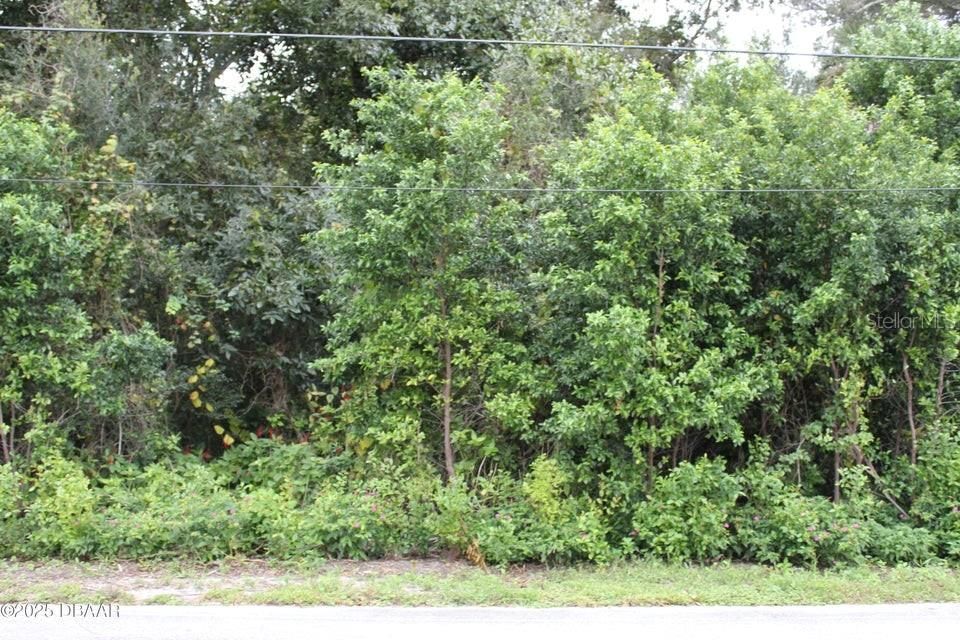 For Sale: $410,000 (3.91 acres)