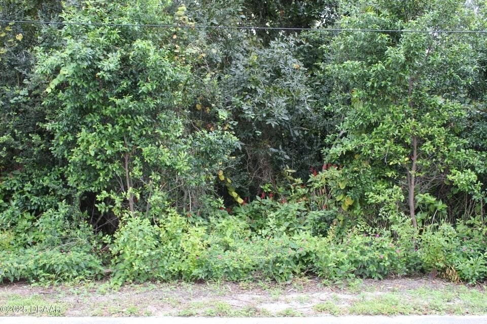 For Sale: $410,000 (3.91 acres)