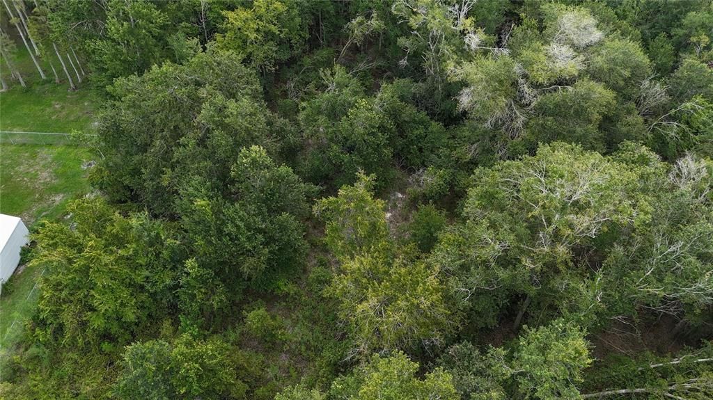 For Sale: $85,000 (2.63 acres)