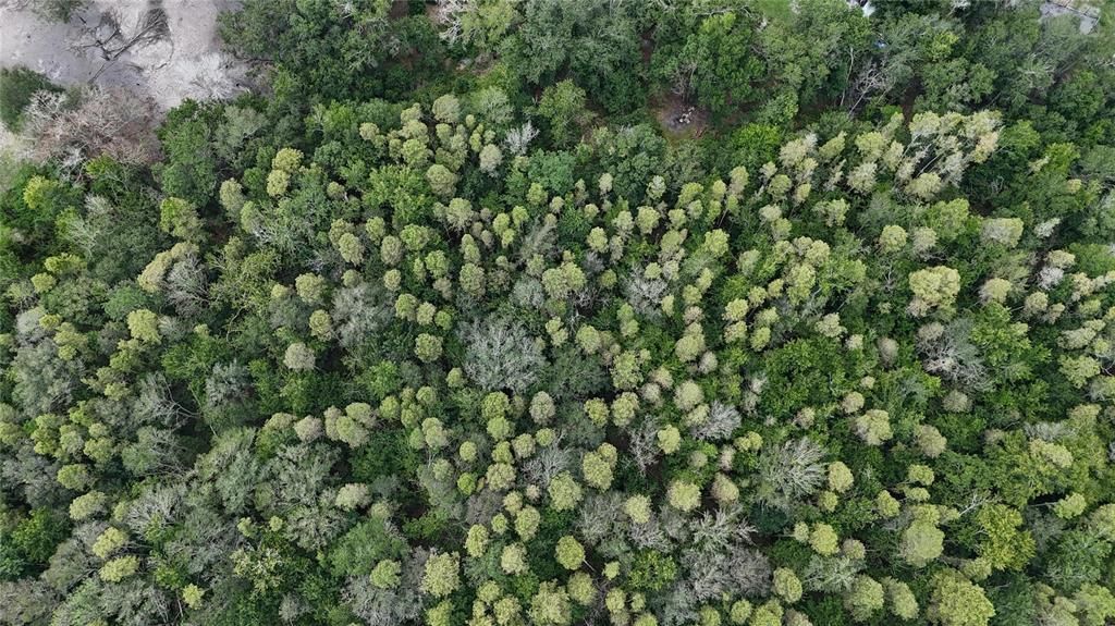 For Sale: $85,000 (2.63 acres)