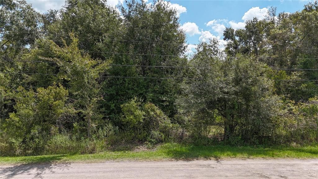 For Sale: $85,000 (2.63 acres)