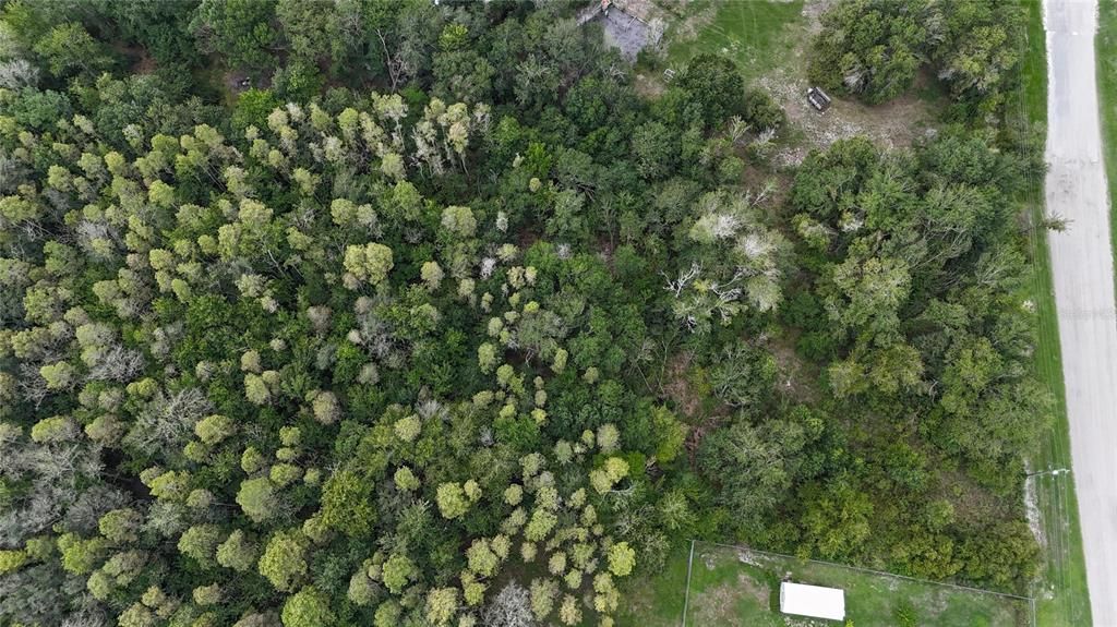 For Sale: $85,000 (2.63 acres)