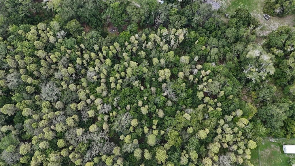 For Sale: $85,000 (2.63 acres)