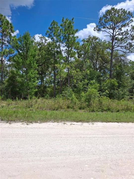 Active With Contract: $32,500 (0.46 acres)