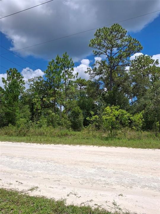 Active With Contract: $32,500 (0.46 acres)