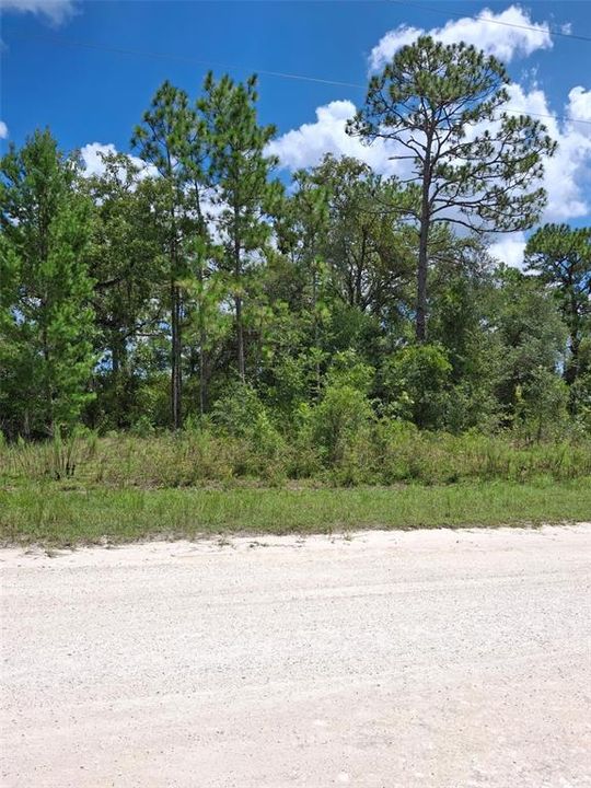 Active With Contract: $32,500 (0.46 acres)
