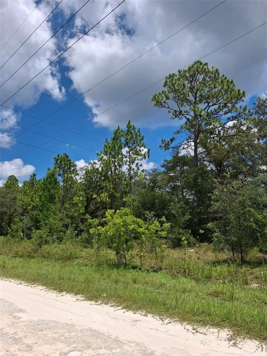 Active With Contract: $32,500 (0.46 acres)