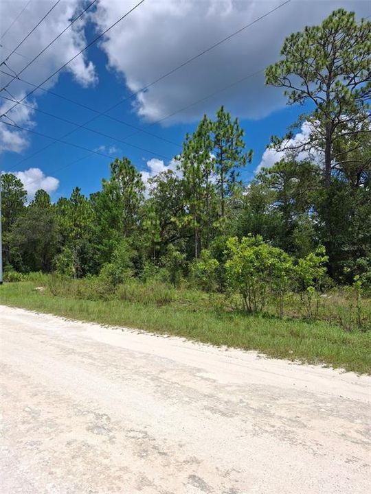 Active With Contract: $32,500 (0.46 acres)