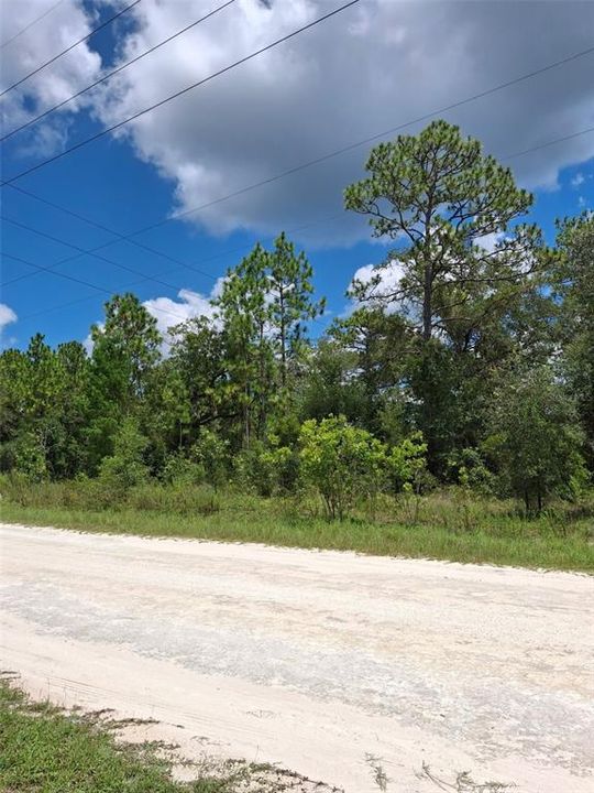 Active With Contract: $32,500 (0.46 acres)
