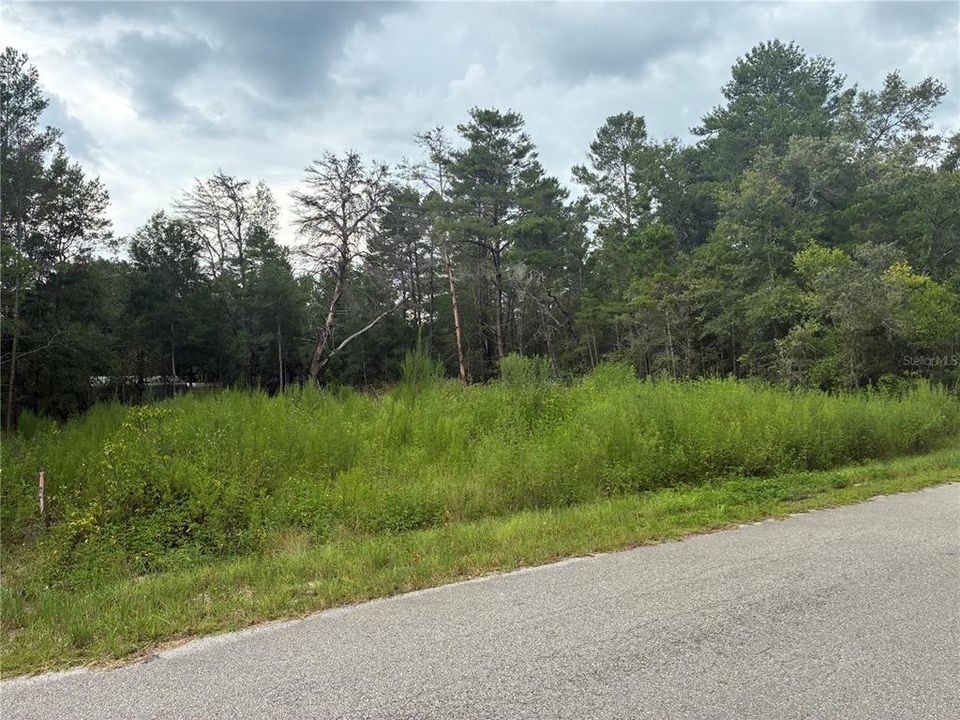 待售: $17,900 (0.24 acres)