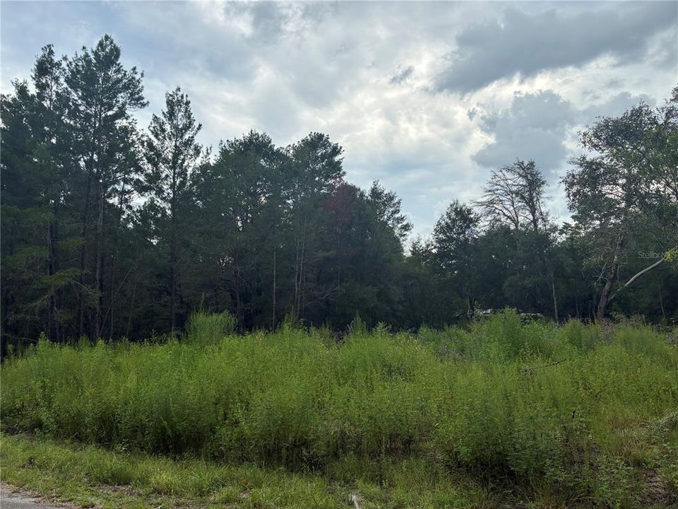 待售: $17,900 (0.24 acres)